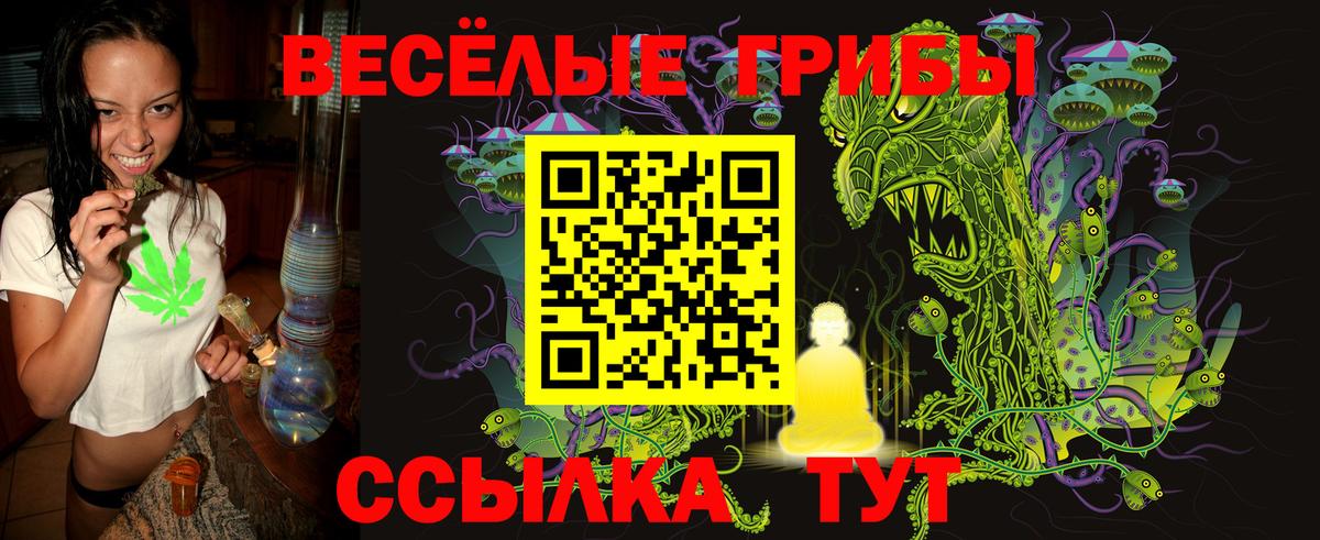 Псилоцибиновые грибы Psilocybine cubensis Дзержинск