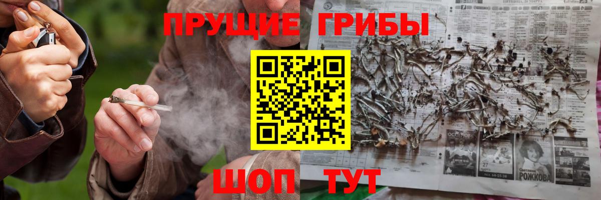 Псилоцибиновые грибы Magic Shrooms  Вход с VPN  где продают   Дзержинск 