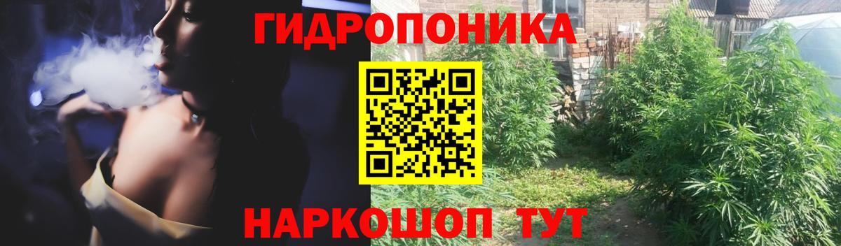Дзержинск  Каннабис планчик  Марихуана ГИДРОПОН  Вход с VPN  Каннабис семена 